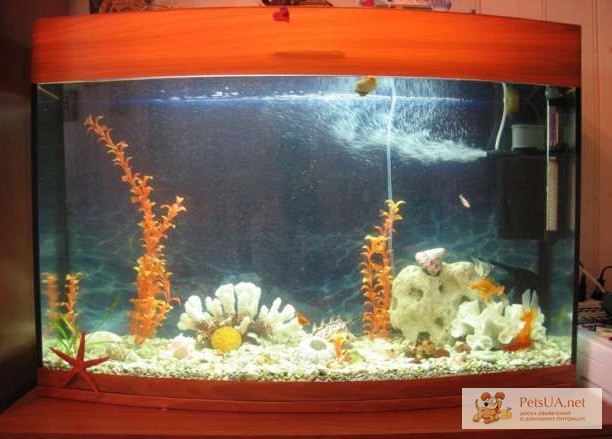 Фото 3. Продажа новых аквариумов объёмом от 30 до 1000 литров