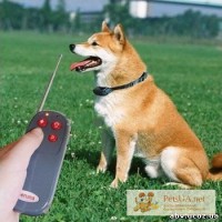 Электронный тренер для дистанционного обучения собак - 4 в 1 (деликатный, для маленьких по