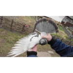 Продам николаевских голубей