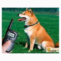 Электронный ошейник для дрессировки и обучения собак
