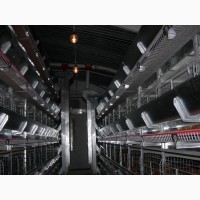 Клеточное оборудования для выращивания промышленного стада кур-несушек ОКН
