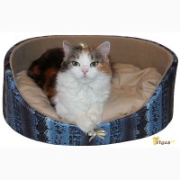 Лежак с дополнительной гипоаллергенной подушкой для собаки или котика ТМ Модный зверь