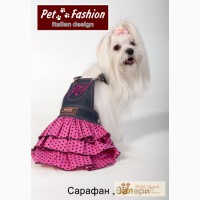 Одежда для собак Pet Fashion, Новая Коллекция!
