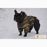 Пошив красивой одежды для собак крупных, средних и маленьких пород Доставка по Украине.