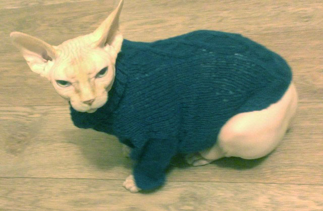 Фото 7. Вязаный свитер для котов и собак
