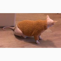 Вязаный свитер для котов и собак