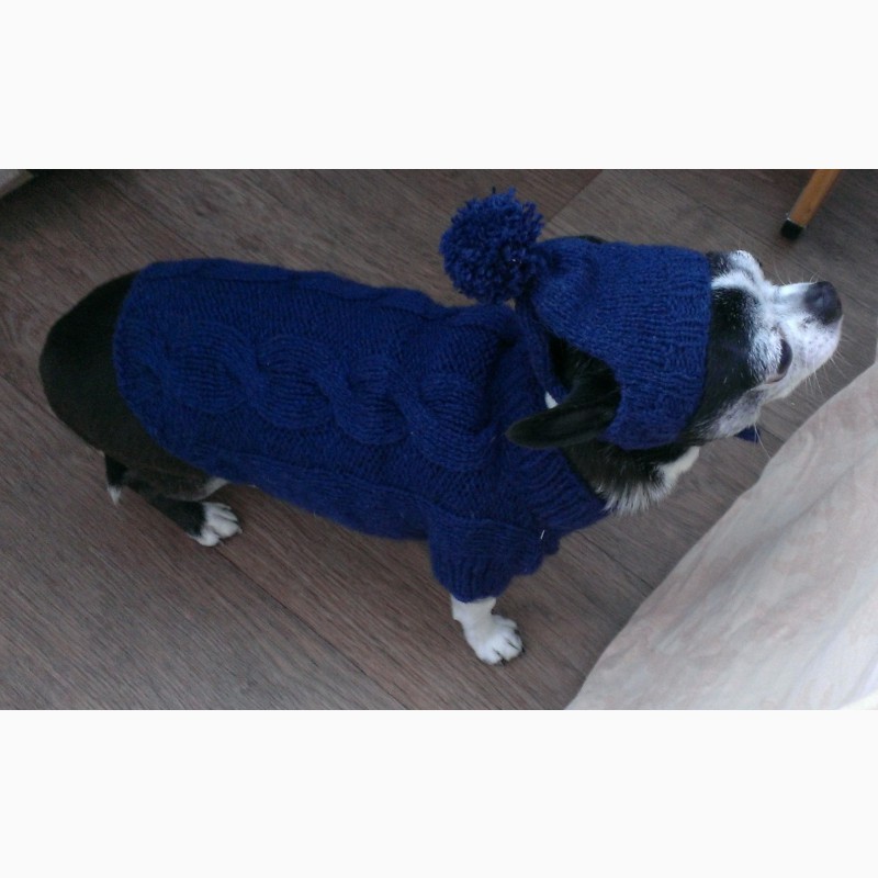 Фото 15. Вязаный свитер для котов и собак