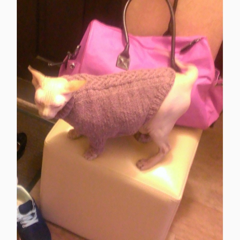 Фото 6. Вязаный свитер для котов и собак