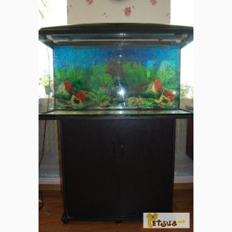 Продам аквариум с тумбой на 200 литров, фильтром и всем необходимым для работы аквариума