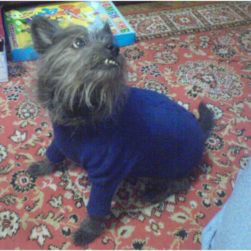 Фото 5. Вязаный свитер для собаки