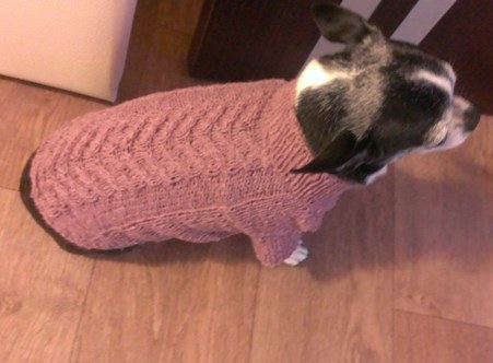 Фото 6. Вязаный свитер для собаки