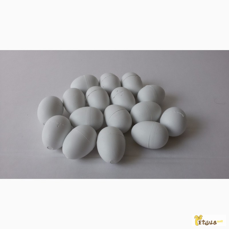 Фото 2. Яйца - обманки(муляжи) для голубей