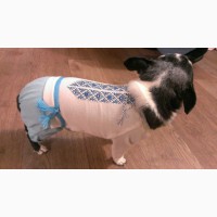 Одежда для маленькой собаки.Комбинезон - вышиванка