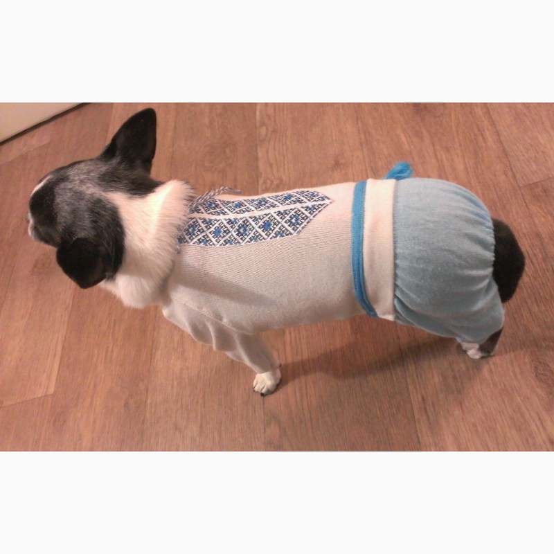 Фото 4. Одежда для маленькой собаки.Комбинезон - вышиванка