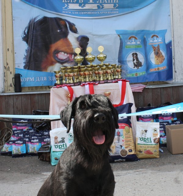 Всеукраинская ВЫСТАВКА собак, продажа щенков