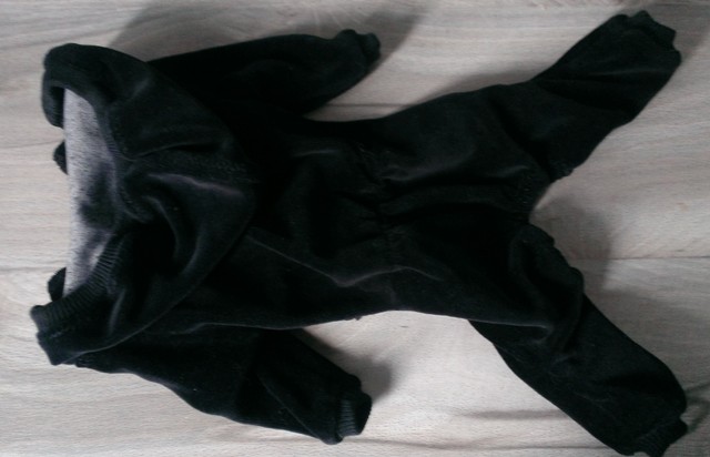 Фото 3. Одежда для маленьких собак. Комбинезон черный велюр