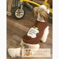 Одежда и товары для собак марки Dogpose