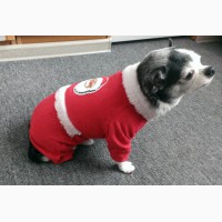 Новогодний костюм для маленькой собаки - комбинезон Санта