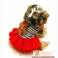 MonkeyDaze Медвежонок Тедди (Teddy Bear Dress red) красное платье, одежда для собак
