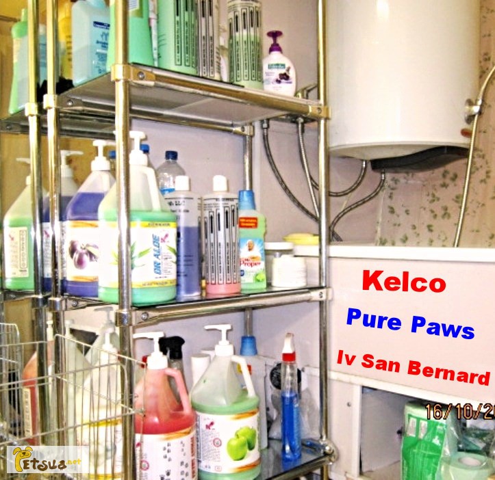 Фото 2. Профессиональные шампуни для собак и кошек KELCO в расфасовке 100 мл