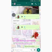 Услуги Гадалка Гадание на картах Таро дистанционно по телефону онлайн viber вайбер по фото