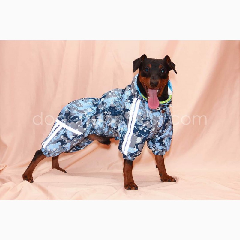 Фото 5. Одежда для собак крупных, средних и мелких пород. Дождевики, зимняя одежда для собак