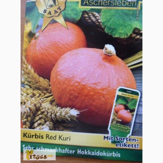 Продам семена японской тыквы Хоккайдо