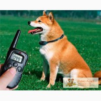 Электронный ошейник для собак, Обучающий электро ошейник для тренировки собак