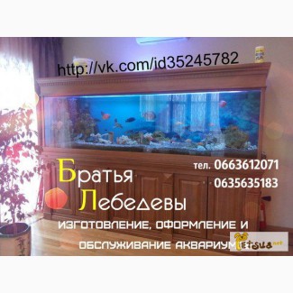 Обслуживание аквариумов (по Харькову и области)