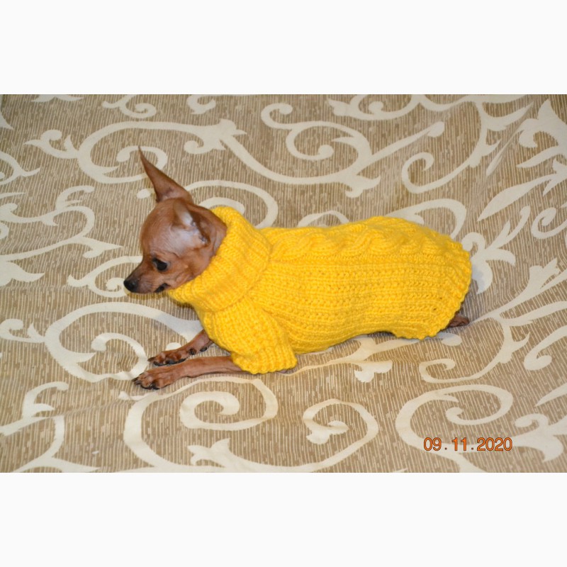 Фото 6. Одежда для миниатюрных Собак Ручное вязание без швов