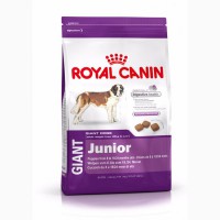 Royal Canin Giant Junior (старше 8 месяцев) 15кг