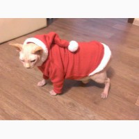 Новогодний костюм для собак или сфинксов -свитер Санта