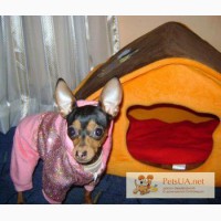 Домик оранжевый и розовый домики для собак