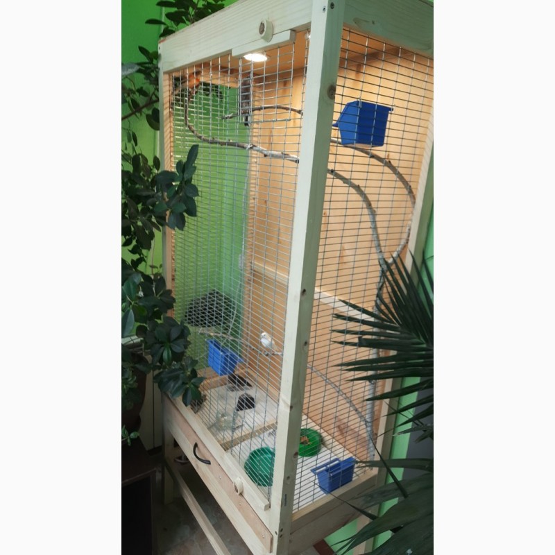 Фото 3. Клетка вольер для мелкой домашней птички попугая, кенора и других на подставке