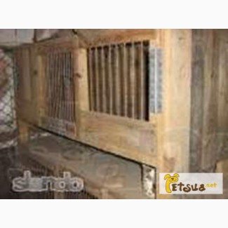 Купить деревянные клетки для кроликов (350 грн.)