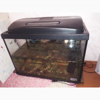 Продам акваріум+ фільтр для його очищення