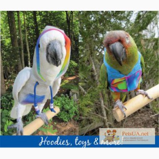 Новинка – возможность купить прогулочный костюм для попугая