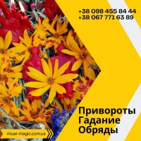 Помощь мага Киев. Обряд на похудение Киев