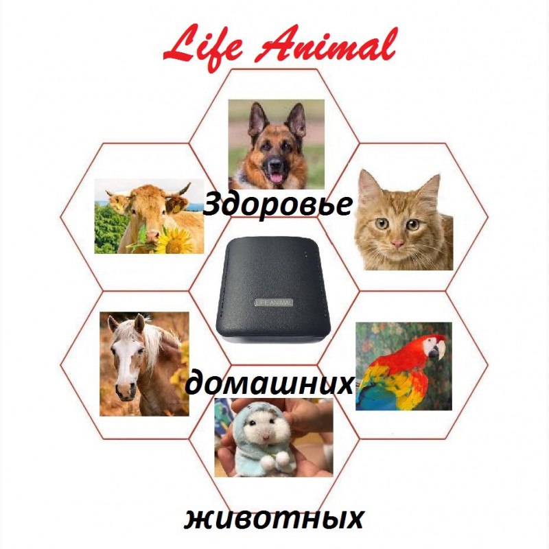 Фото 2. Помощь ветеринару прибор Life Animal 4 уровня мощности| Акция: кешбэк 10%