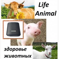 Помощь ветеринару прибор Life Animal 4 уровня мощности| Акция: кешбэк 10%