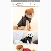 Продам Puppia Mountaineer жилет для собак, со шлейкой