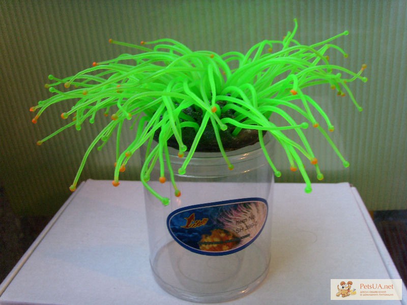 Фото 1/1. Искуственные аквариумные растения, Актинии SH 399, силиконовые