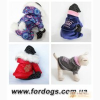 Одежда для собак Киев - зимние комбинезоны, свитерки, костюмы, курточки