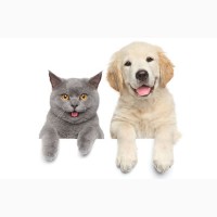 Добавки вкусо-ароматические для домашних животных (собаки, кошки)